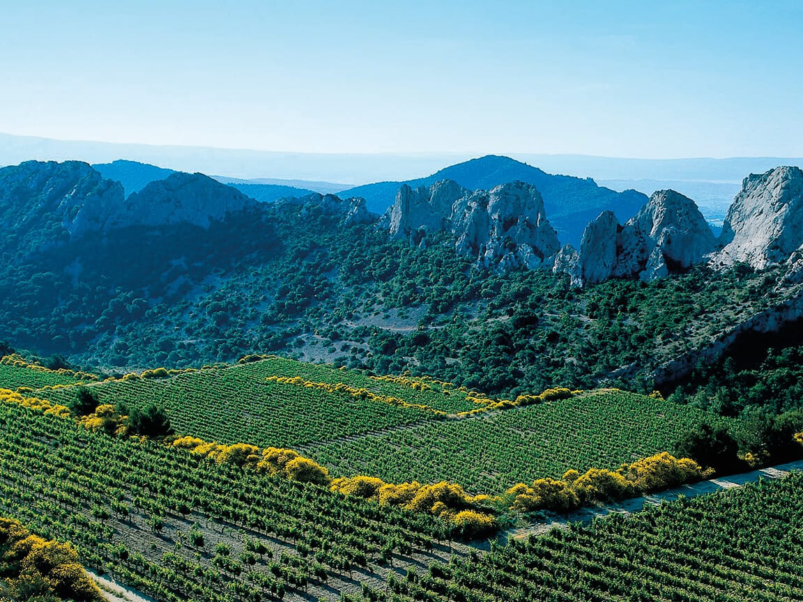 gigondas