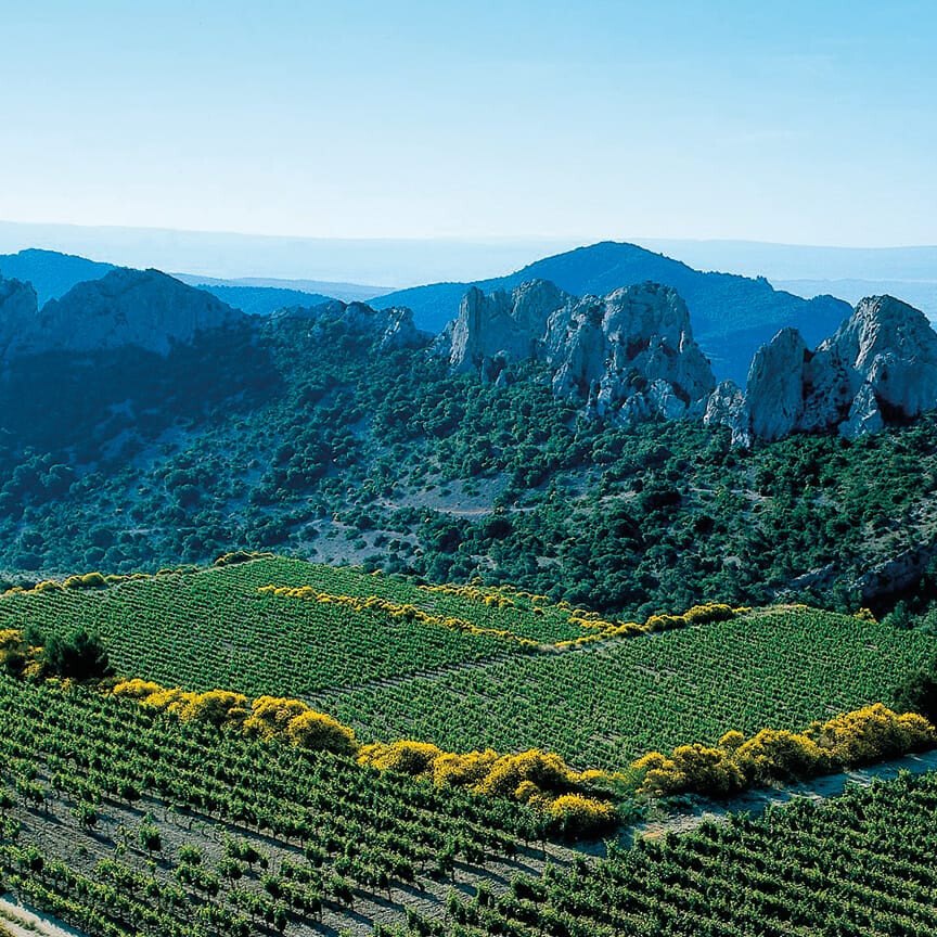 gigondas