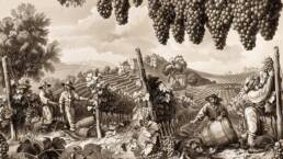 Bourgogne geschiedenis