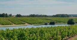 Klimaat & Bodem Côte de Nuits