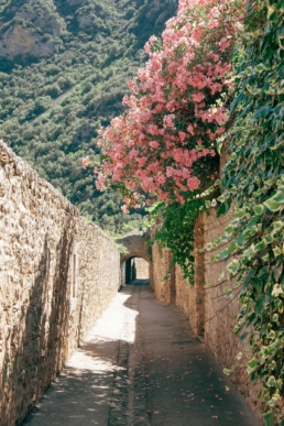Languedoc-Roussillon wijnstreek frankrijk