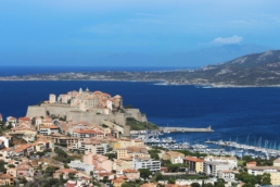 Calvi france wijnsteek corsica